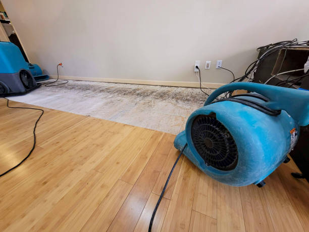 Professional Structural Drying technician working in Wentworth, NC